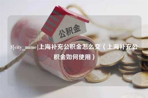 佛山上海补充公积金怎么交（上海补充公积金如何使用）